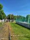 Branno-portov de s iernymi baretmi